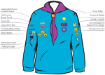 Where to place beaver badges